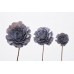 SOLA ROSE COLORS 4" (16" stem) Lavender